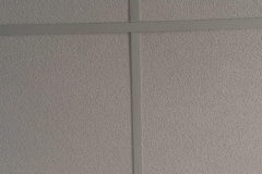 IMG-20181220-WA0087